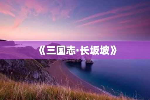 《三国志·长坂坡》：长期玩耐玩的三国手游