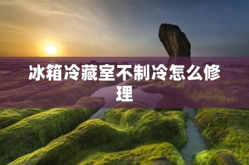 冰箱冷藏室不制冷怎么修理