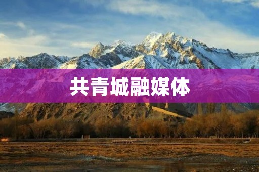 共青城融媒体：融合传媒力量，打造青年信息平台