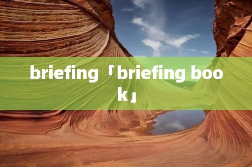 briefing「briefing book」