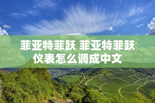 菲亚特菲跃 菲亚特菲跃仪表怎么调成中文