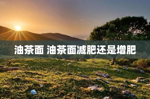 油茶面 油茶面减肥还是增肥