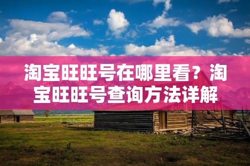 淘宝旺旺号在哪里看?淘宝旺旺号查询方法详解