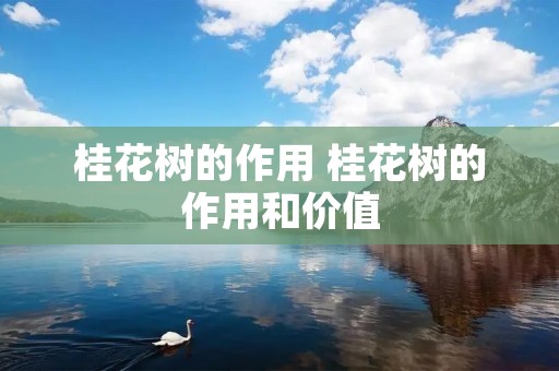 桂花树的作用 桂花树的作用和价值