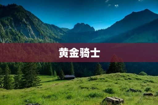 黄金骑士：传奇勇士的辉煌征程