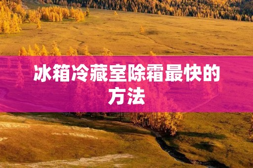 冰箱冷藏室除霜最快的方法:全面解析 冰箱冷藏室除霜最快的方法:全面解析