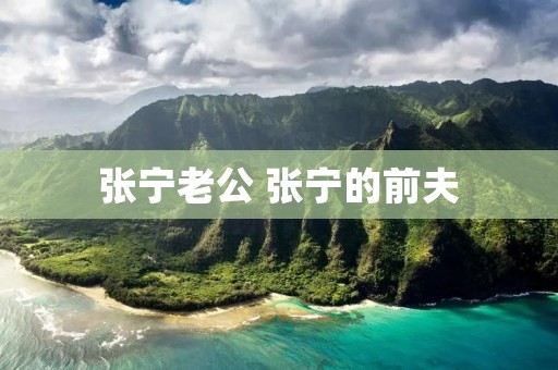 张宁老公 张宁的前夫