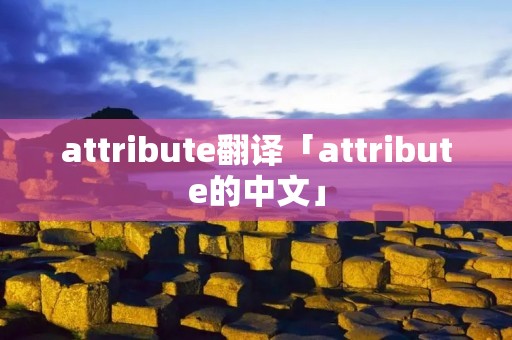 attribute翻译「attribute的中文」