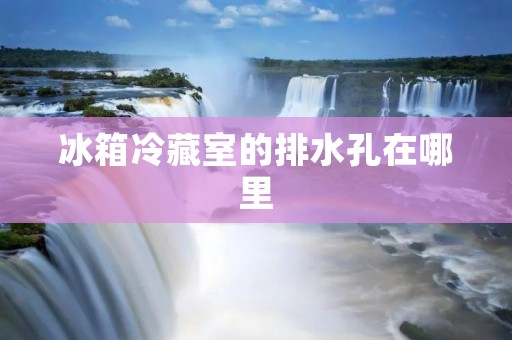 冰箱冷藏室的排水孔在哪里 冰箱冷藏室的排水孔在哪里