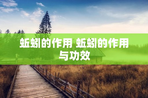 蚯蚓的作用 蚯蚓的作用与功效