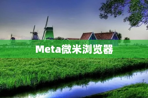 Meta微米浏览器：重新定义网络浏览体验