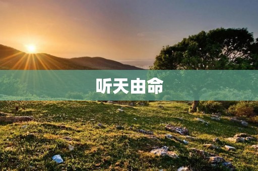 听天由命：追求内心平静与宁静的艺术