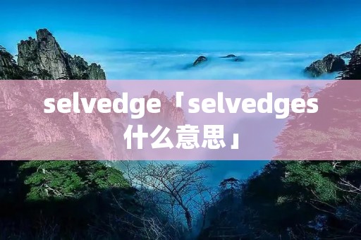 selvedge「selvedges什么意思」