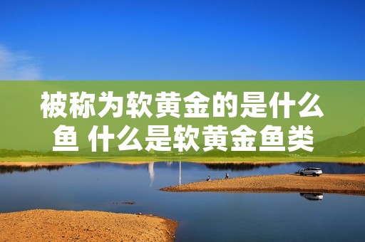 被称为软黄金的是什么鱼 什么是软黄金鱼类? 被称为软黄金的是什么鱼 什么是软黄金鱼类?