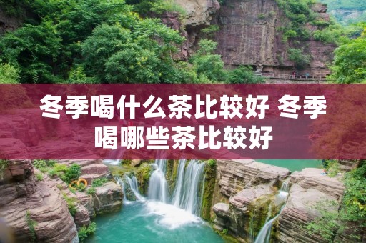 冬季喝什么茶比较好 冬季喝哪些茶比较好