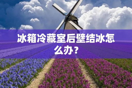 冰箱冷藏室后壁结冰怎么办？