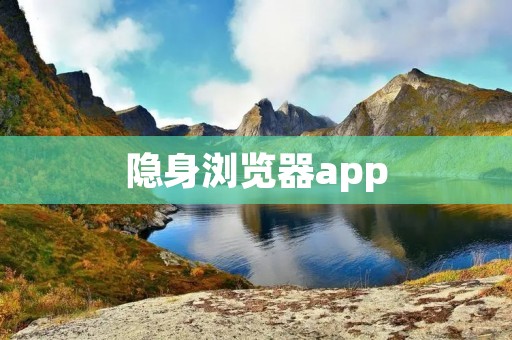 隐身浏览器app:保护隐私,安全浏览互联网 隐身浏览器app:保护隐私,安全浏览互联网