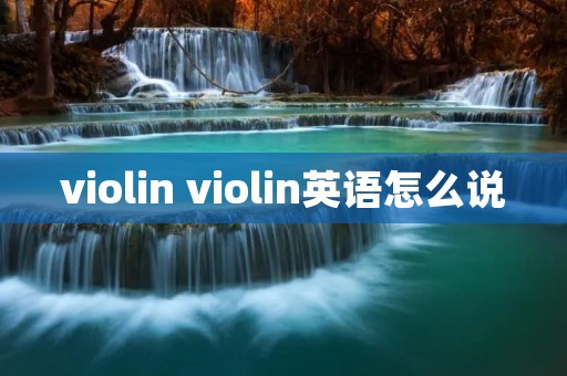 violin violin英语怎么说