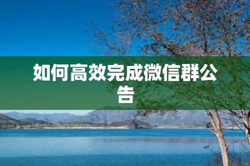 如何高效完成微信群公告