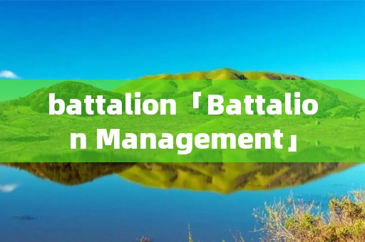 battalion「Battalion Management」
