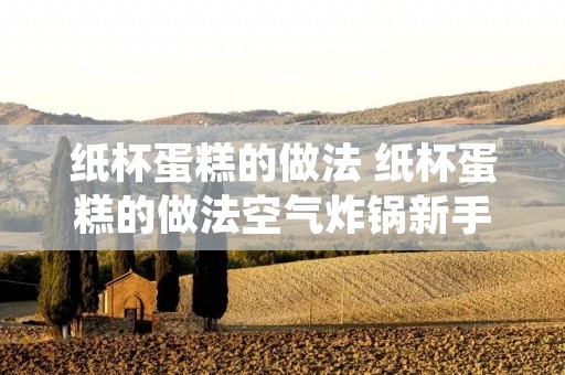 纸杯蛋糕的做法 纸杯蛋糕的做法空气炸锅新手做