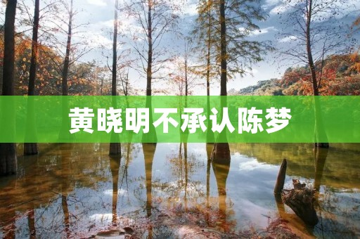 黄晓明不承认陈梦:揭秘一段不为人知的情感纠葛 黄晓明不承认陈梦:揭秘一段不为人知的情感纠葛