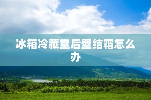 冰箱冷藏室后壁结霜怎么办