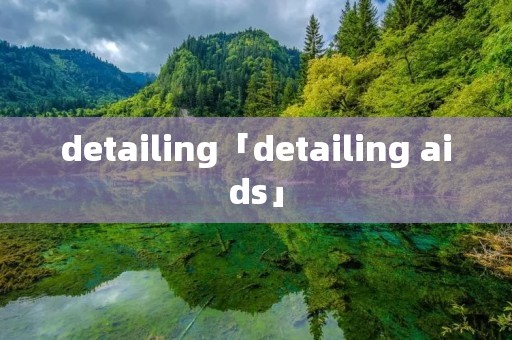 detailing「detailing aids」 detailing「detailing aids」
