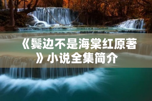 《鬓边不是海棠红原著》小说全集简介