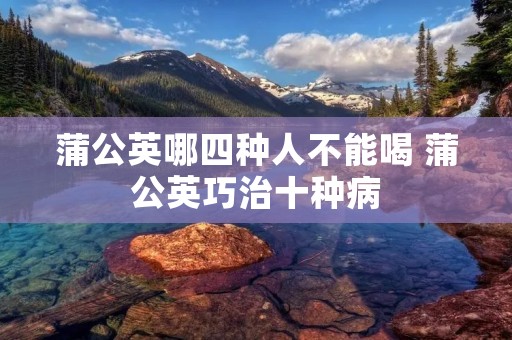蒲公英哪四种人不能喝 蒲公英巧治十种病