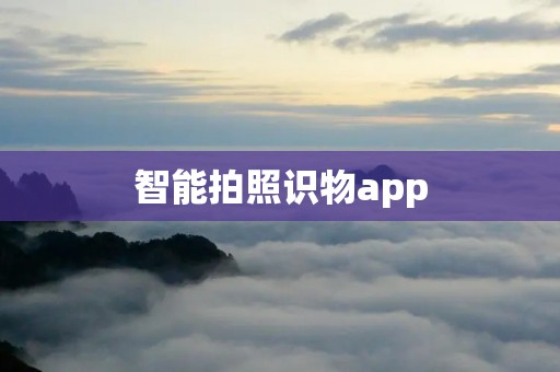 智能拍照识物app:让手机变身智能导游 智能拍照识物app:让手机变身智能导游