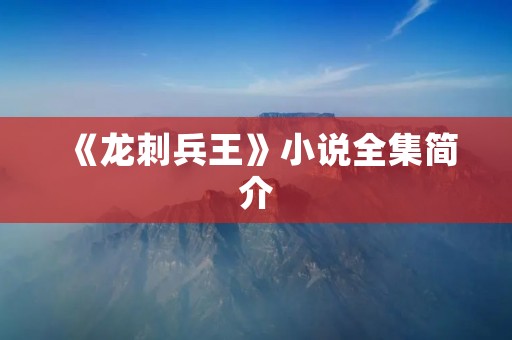 《龙刺兵王》小说全集简介