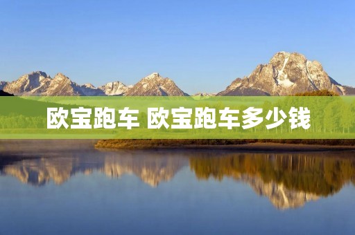 欧宝跑车 欧宝跑车多少钱