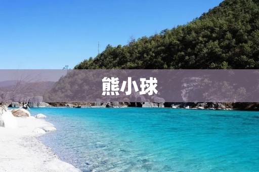 熊小球：萌宠玩具，陪伴你的日常生活