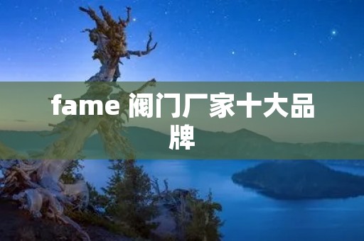 fame 阀门厂家十大品牌