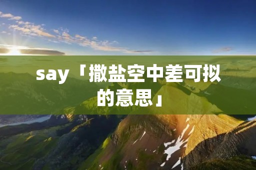 say「撒盐空中差可拟的意思」