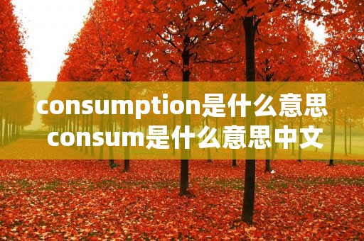 consumption是什么意思 consum是什么意思中文翻译