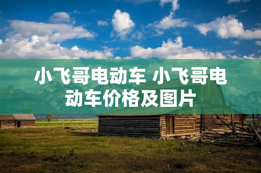小飞哥电动车 小飞哥电动车价格及图片 小飞哥电动车 小飞哥电动车价格及图片