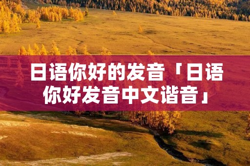日语你好的发音「日语你好发音中文谐音」