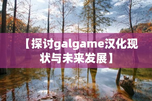 【探讨galgame汉化现状与未来发展】