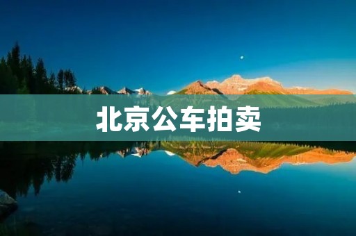 北京公车拍卖:二手车市场的新宠 北京公车拍卖:二手车市场的新宠