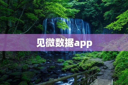 见微数据app：解锁微观数据的新利器
