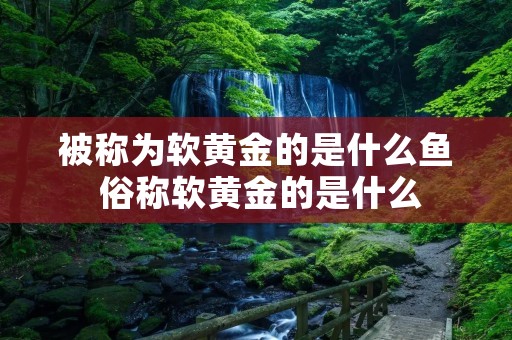 被称为软黄金的是什么鱼 俗称软黄金的是什么