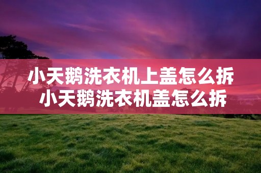 小天鹅洗衣机上盖怎么拆 小天鹅洗衣机盖怎么拆卸图解