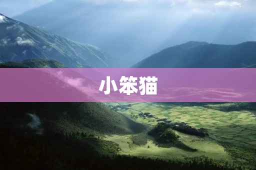 小笨猫：一个可爱的淘气小家伙
