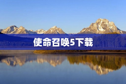 使命召唤5下载:最火爆的战争游戏,让你体验真实的战争场景!