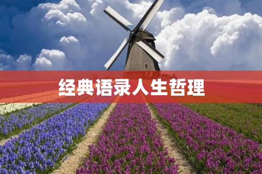 经典语录人生哲理:探寻真理,领悟生命