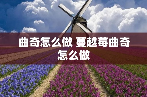 曲奇怎么做 蔓越莓曲奇怎么做