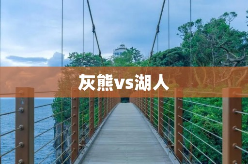 灰熊vs湖人：一场激烈的对决