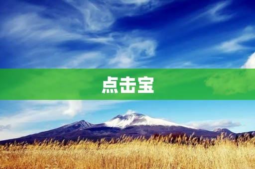 点击宝：一键轻松管理你的电脑